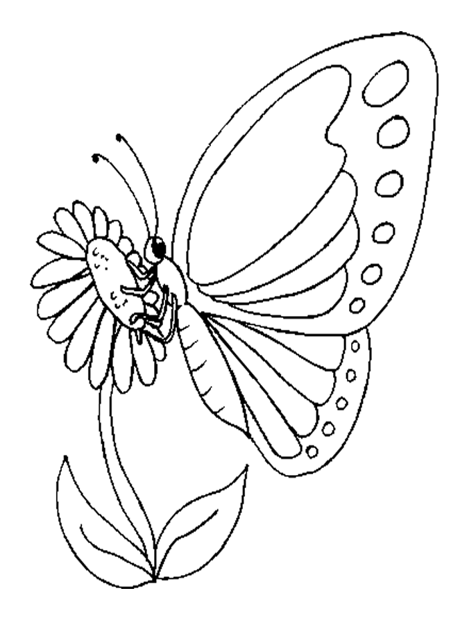butterfly-pages-coloring-1.gif
