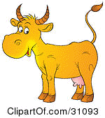 31093-happy-yellow-cow-with-pink-udders.jpg