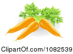 clipart 3d fresh orange carrots royalty free vector illustration by geo images